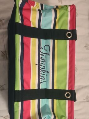 thirty-one Pink and Aqua Stripe Tote with Navy Edge